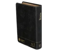 BIBLE SEGOND 21 COMPACTE "PREMIUM STYLE" SEMI-RIGIDE CUIR ANTHRACITE AVEC TRANCHES DOREES
