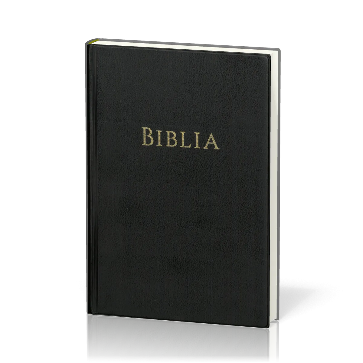 ROUMAIN BIBLE PETIT FORMAT SIMILI