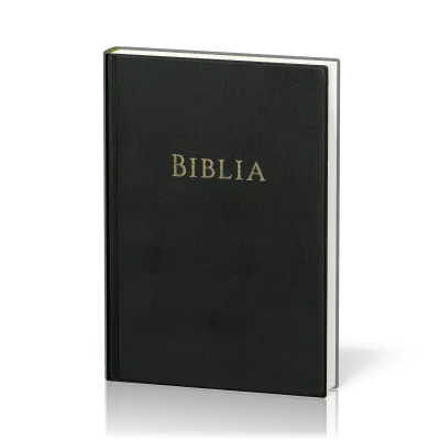 ROUMAIN BIBLE PETIT FORMAT SIMILI