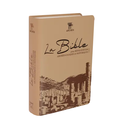 BIBLE SEGOND 21 ARCHEOLOGIQUE SOUPLE VIVELLA BRUN