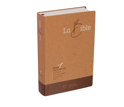 BIBLE SEGOND 21 GROS CARACTERES SEMI-RIGIDE PAPIER BRUN CHINÉ EN FIBRES NATURELLES