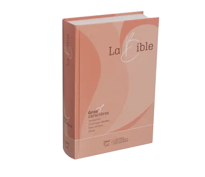 BIBLE SEGOND 21 GROS CARACTERES RIGIDE ILLUSTREE ROSE