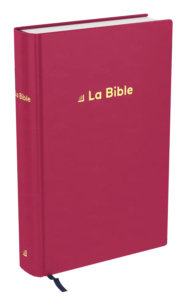 BIBLE DARBY REVISEE COMPACT RIGIDE VELOURS ROUGE
