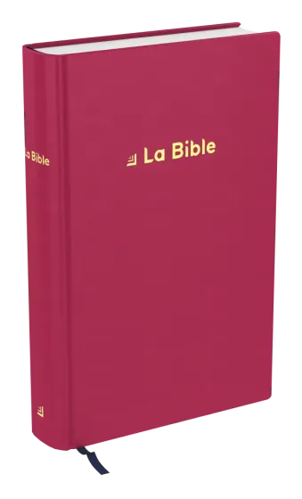 BIBLE DARBY REVISEE COMPACT RIGIDE VELOURS ROUGE