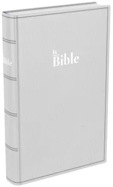 BIBLE DARBY STANDARD SOUPLE GRIS