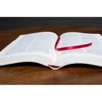 BIBLE DARBY ROLLE GRAND FORMAT SOUPLE PU BEIGE