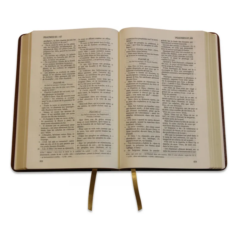 BIBLE DARBY ROLLE GRAND FORMAT SOUPLE DUOTONE SIMILICUIR BRUN/BEIGE