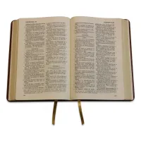 BIBLE DARBY ROLLE GRAND FORMAT SOUPLE DUOTONE SIMILICUIR BRUN/BEIGE