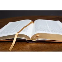 BIBLE DARBY ROLLE GRAND FORMAT SOUPLE DUOTONE SIMILICUIR BRUN/BEIGE