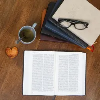 BIBLE DARBY ROLLE GRAND FORMAT SOUPLE DUOTONE SIMILICUIR BRUN/BEIGE