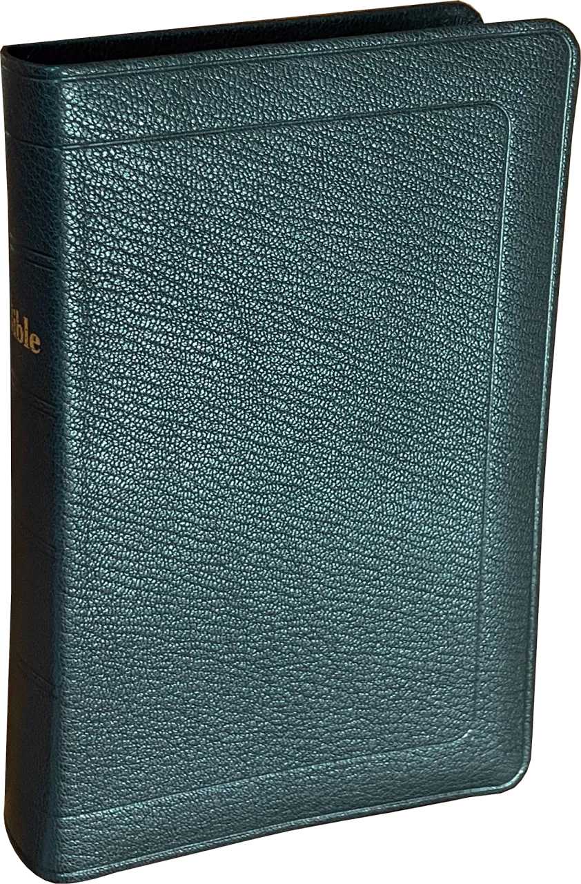 BIBLE DARBY COMPACT SOUPLE CUIR NOIR
