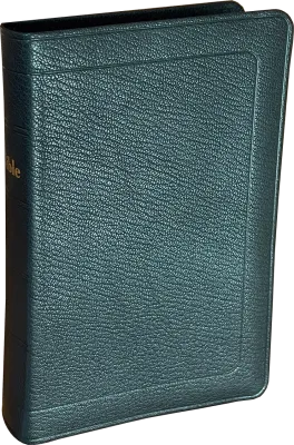 BIBLE DARBY COMPACT SOUPLE CUIR NOIR