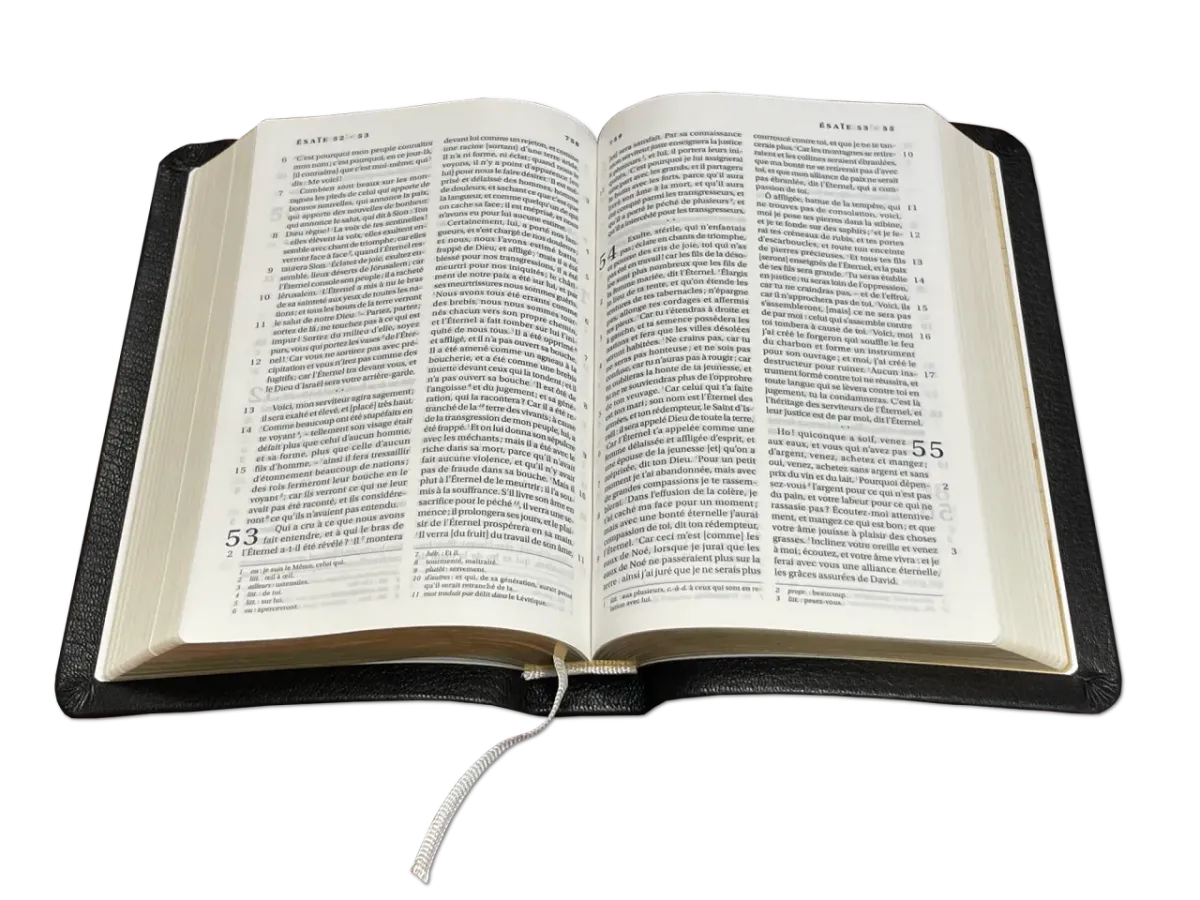 BIBLE DARBY COMPACT SOUPLE CUIR NOIR