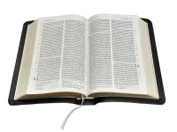 BIBLE DARBY COMPACT SOUPLE CUIR NOIR