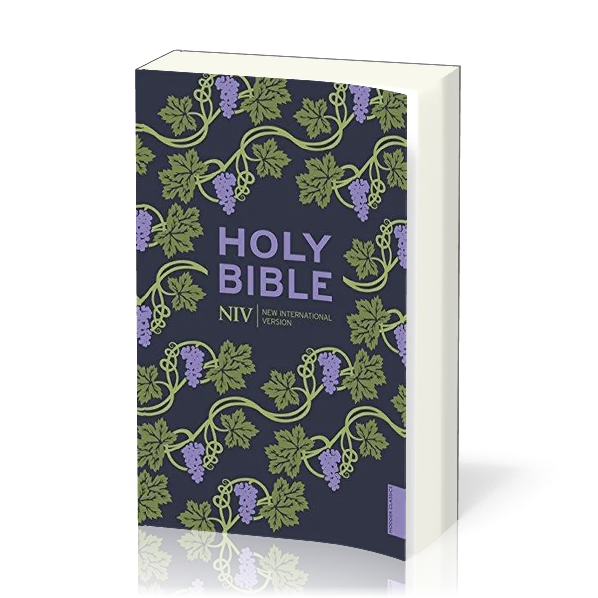 ANGLAIS BIBLE NIV HOLY BIBLE