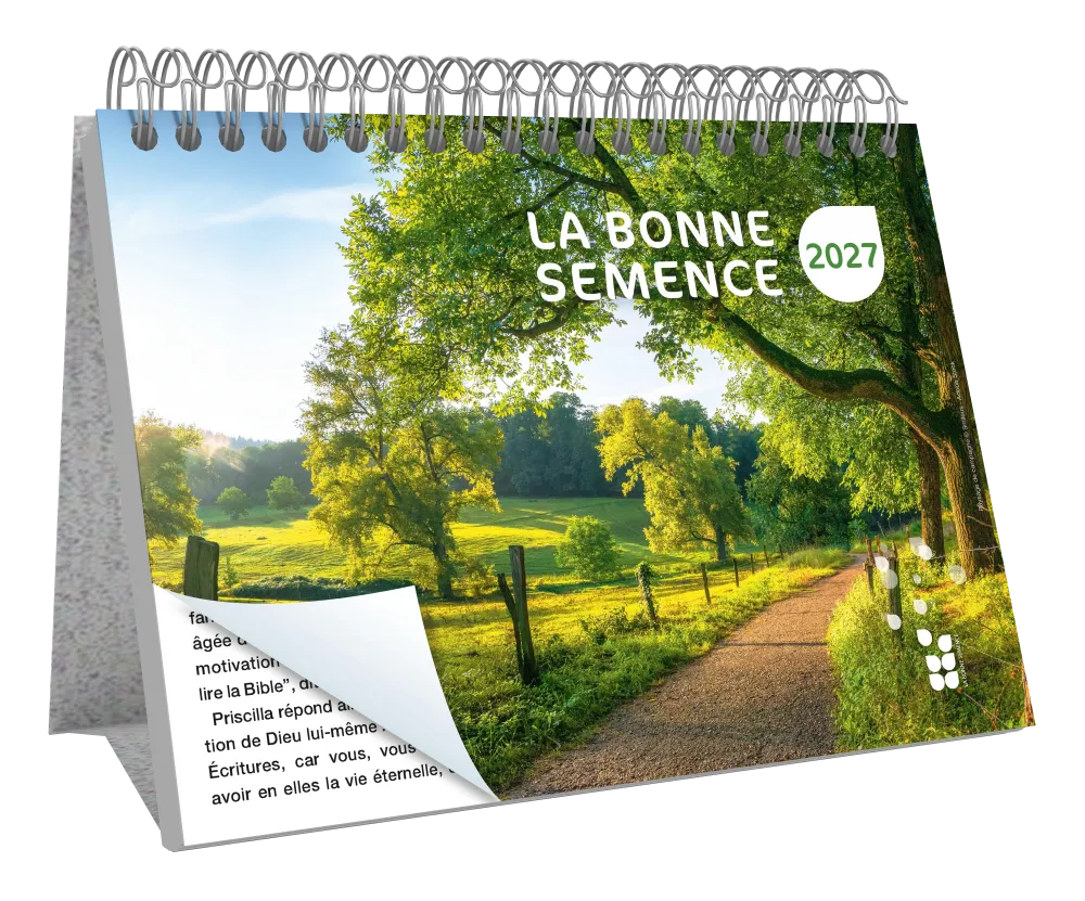 CALENDRIER BS FRANCAIS GRAND FORMAT GROS CARACTERES