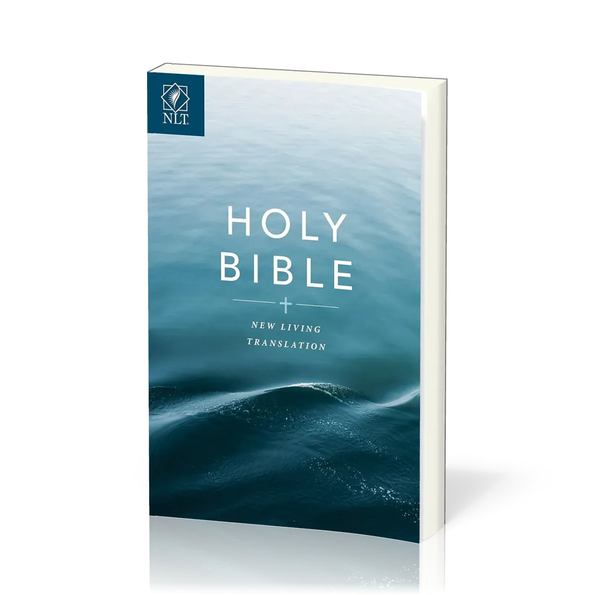 ANGLAIS BIBLE NLT GIFT AWARD