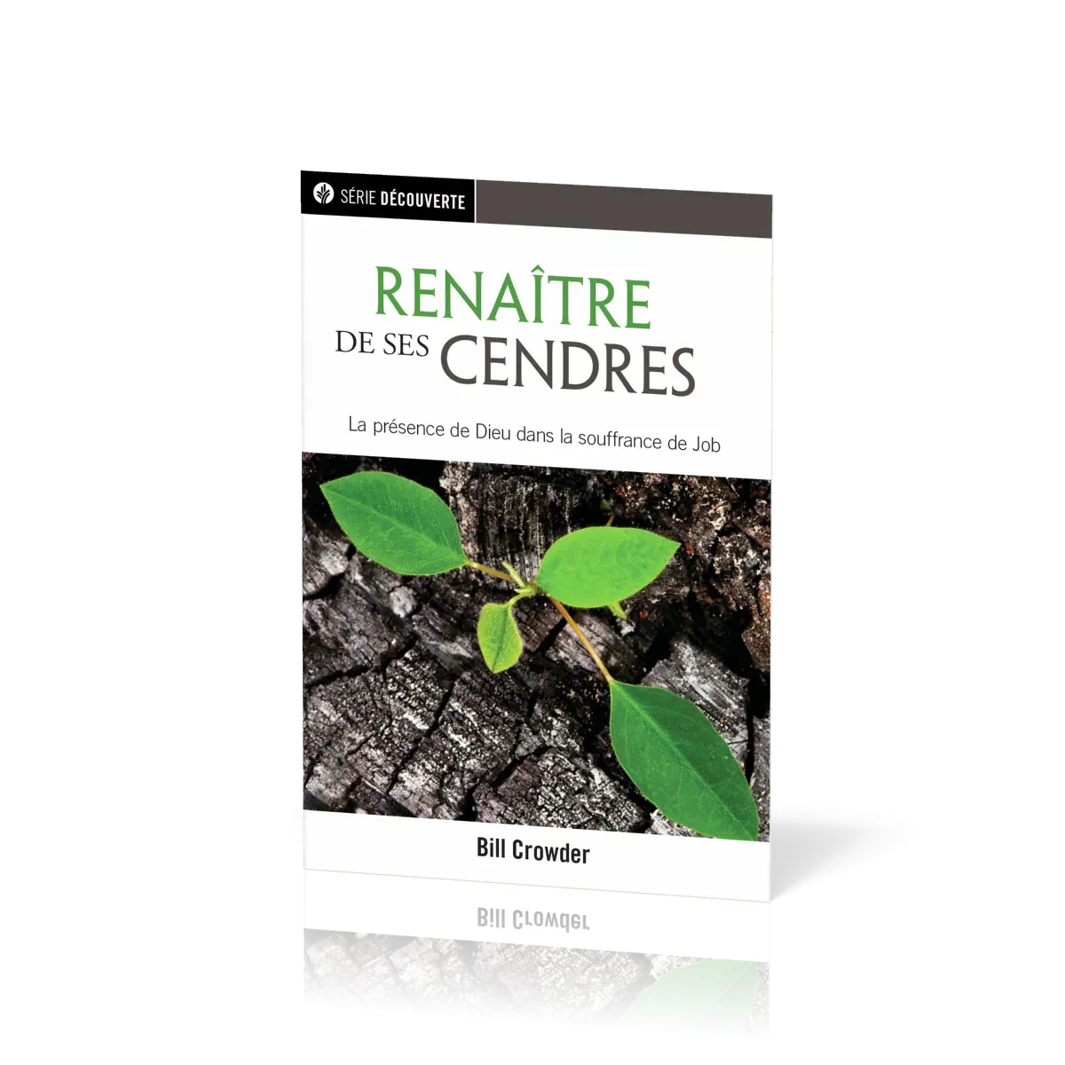 RENAITRE DE SES CENDRES - LA PRESENCE DE DIEU DANS LA SOUFFRANCE DE JOB