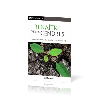 RENAITRE DE SES CENDRES - LA PRESENCE DE DIEU DANS LA SOUFFRANCE DE JOB