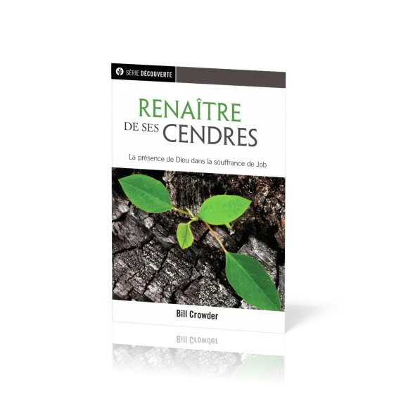RENAITRE DE SES CENDRES - LA PRESENCE DE DIEU DANS LA SOUFFRANCE DE JOB