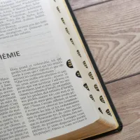BIBLE NEG SCOFIELD FIBROCUIR TRANCHE OR ONGLETS NOIR