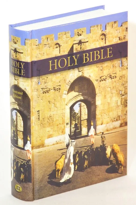 ANGLAIS BIBLE KING JAMES PF ROYAL RUBY ILLUSTRE