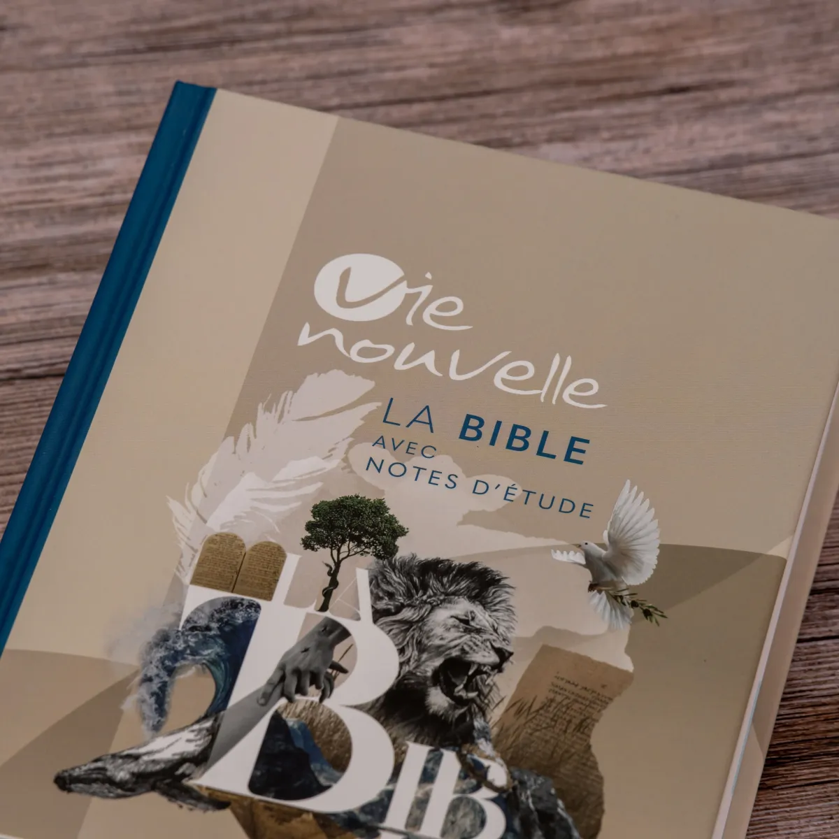 BIBLE SEGOND 21 VIE NOUVELLE RIGIDE ILLUSTREE