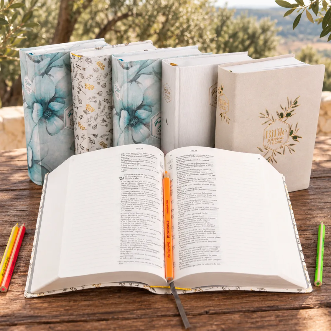 BIBLE SEGOND 21 JOURNAL DE BORD SOUPLE TOILEE BLANC MOTIFS DORES