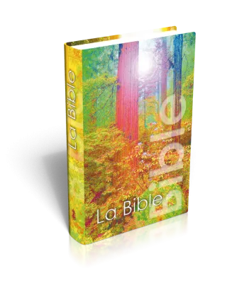 BIBLE NEG MINIATURE RIGIDE COUV.ILLUSTREE FORET