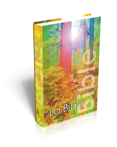BIBLE NEG MINIATURE RIGIDE COUV.ILLUSTREE FORET