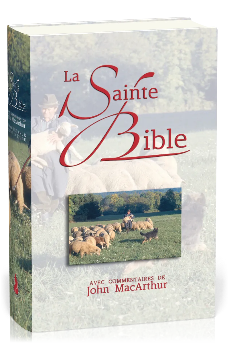 BIBLE NEG MACARTHUR RIGIDE ILLUSTREE
