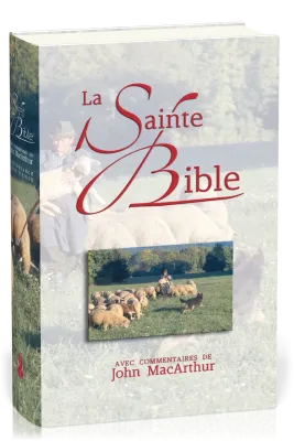 BIBLE NEG MACARTHUR RIGIDE ILLUSTREE