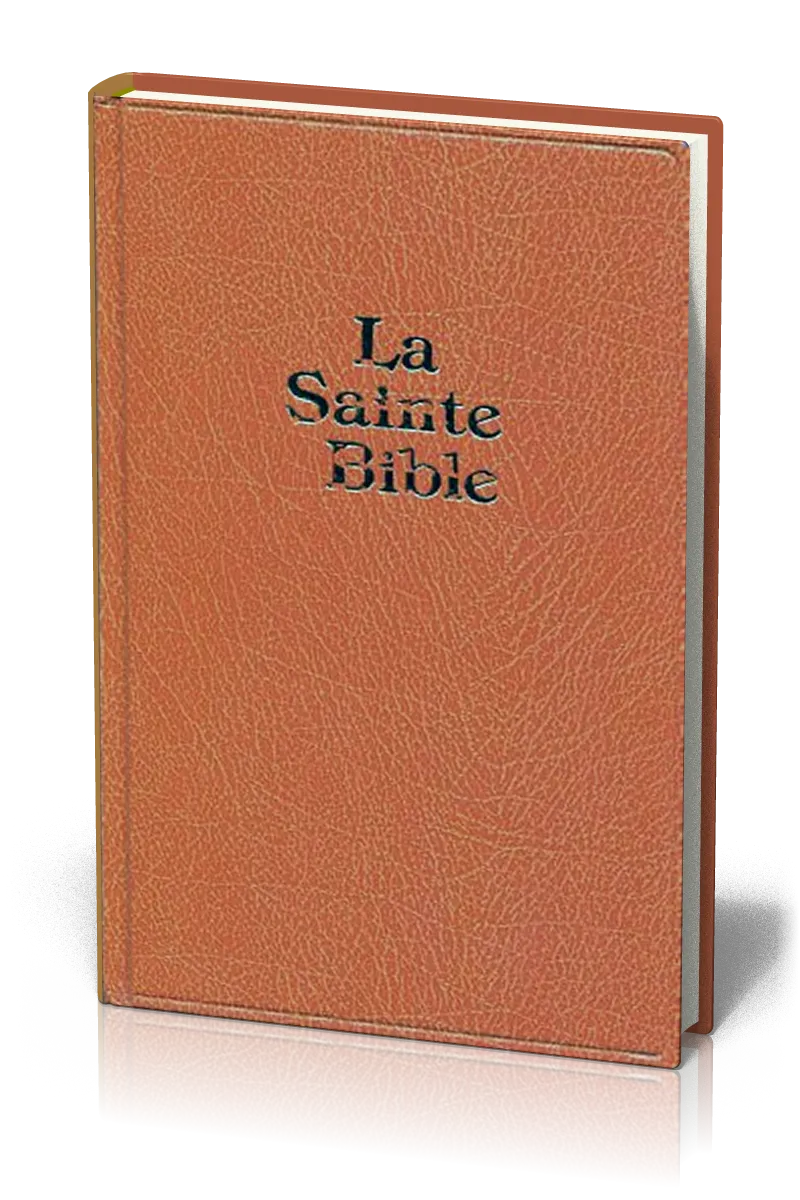 BIBLE DARBY GRD FORMAT SKIVERTEX MARRON