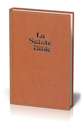 BIBLE DARBY GRD FORMAT SKIVERTEX MARRON