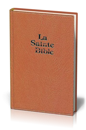 BIBLE DARBY GRD FORMAT SKIVERTEX MARRON