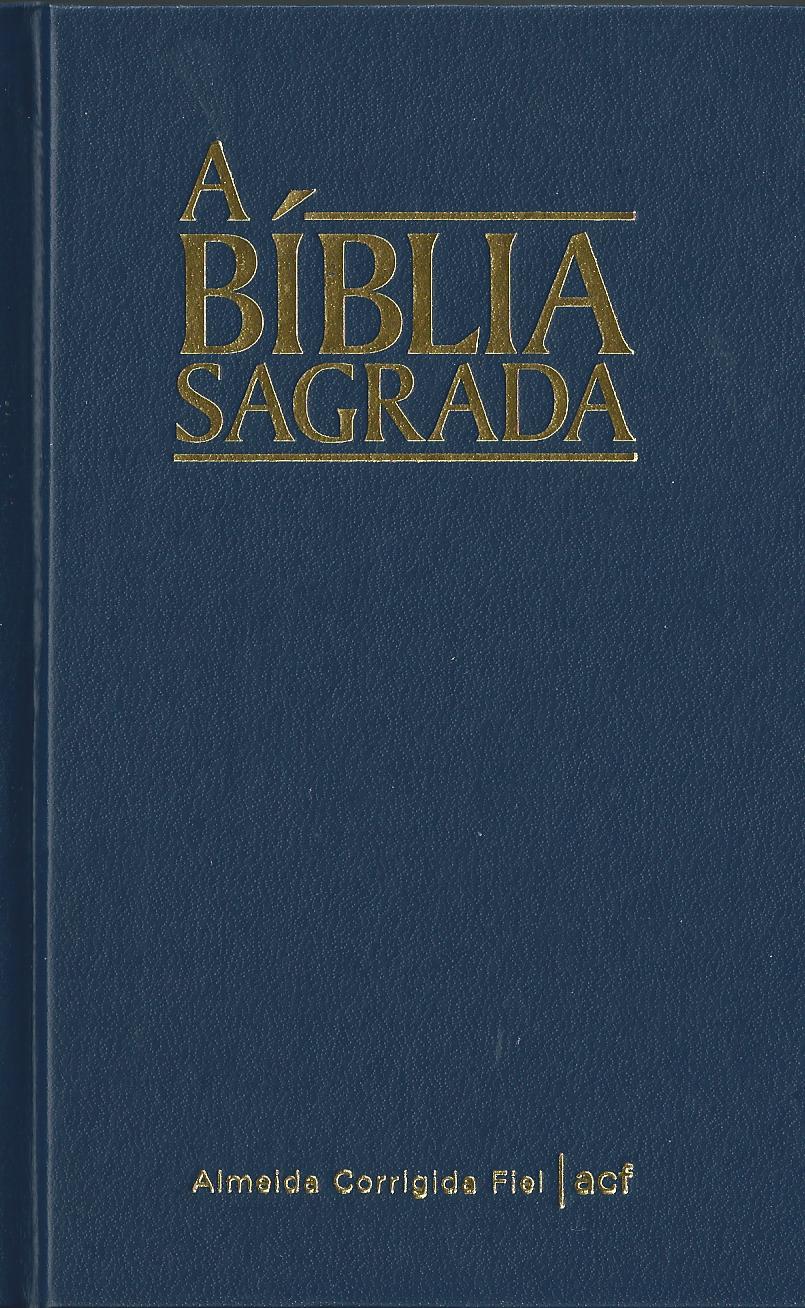 PORTUGAIS, BIBLE SOUPLE BLEU, BRESIL