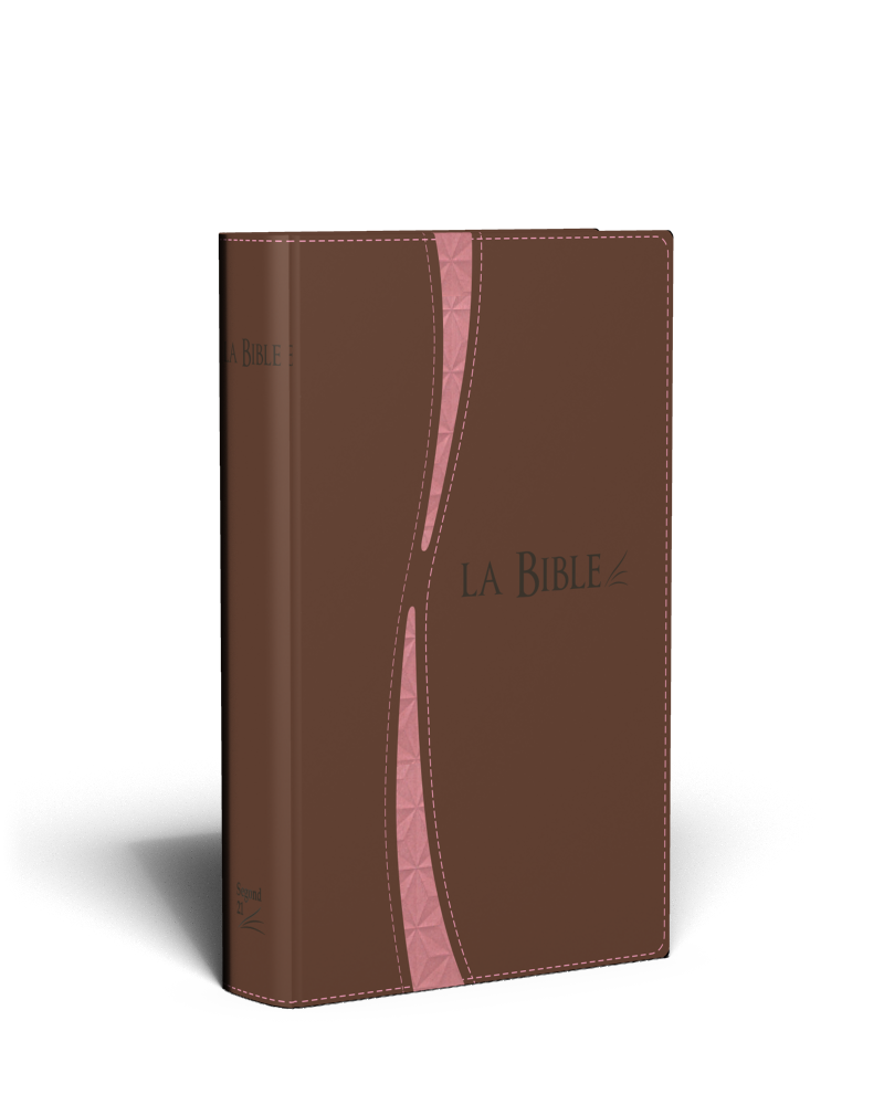 BIBLE SEGOND 21 DUO BRUN ROSE FERMETURE ECLAIR TRANCHE OR