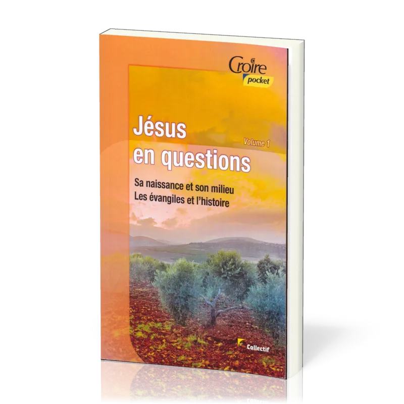 JESUS EN QUESTION VOL. 1 - SA NAISSANCE ET SON MILIEU. LES ÉVANGILES ET L'HISTOIRE