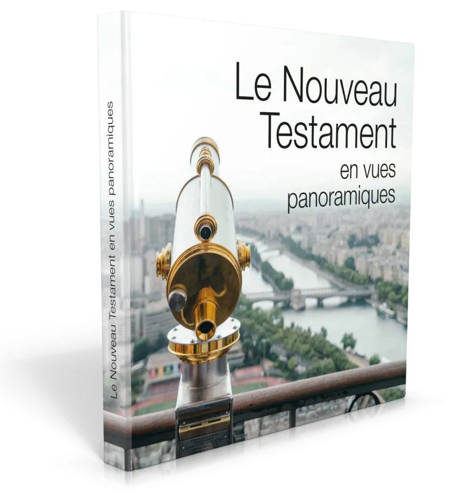 NOUVEAU TESTAMENT EN VUES PANORAMMIQUES (LE) SEGOND 21