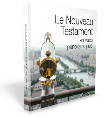 NOUVEAU TESTAMENT EN VUES PANORAMMIQUES (LE) SEGOND 21