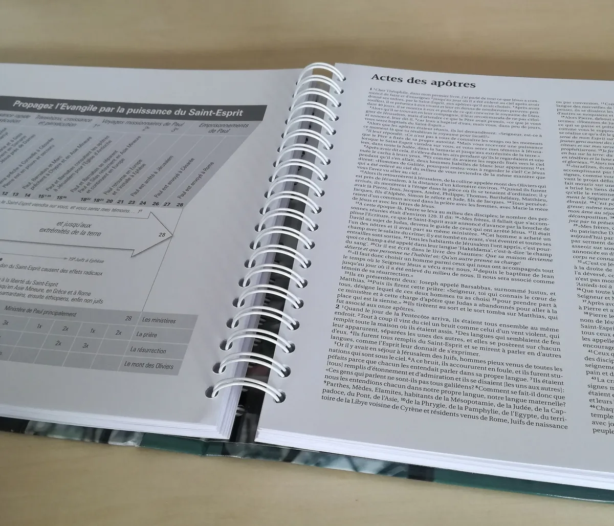 NOUVEAU TESTAMENT EN VUES PANORAMMIQUES (LE) SEGOND 21