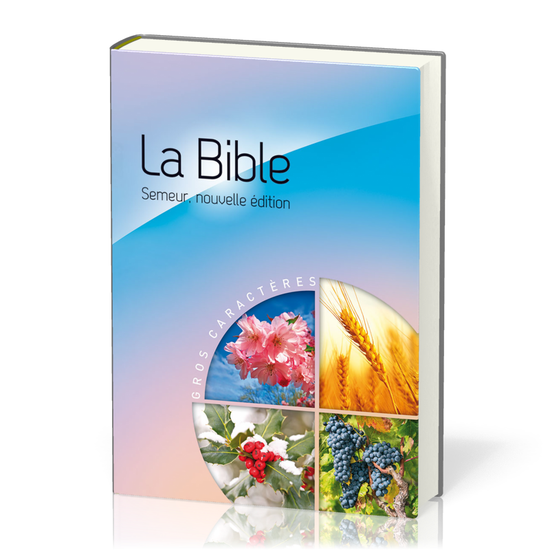 BIBLE SEMEUR 2015 GROS CARACTERES RIGIDE BLEUE ET ROSE ILLUSTREE