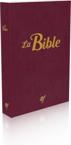 BIBLE SEGOND 1910 VIE PAROLES DE JESUS EN ROUGE SOUPLE GRENAT NOUVELLE EDITION