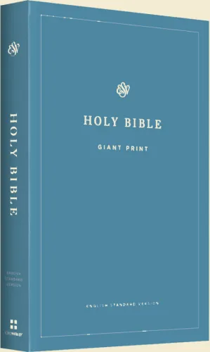 ANGLAIS BIBLE STANDARD VERSION GROS GARACTERES