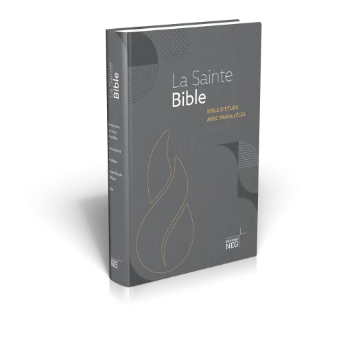 BIBLE NEG ETUDE A PARRALELES RIGIDE COUVERTURE ILLUSTREE