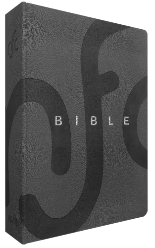BIBLE NOUVELLE FR. COURANT SOUPLE GRIS LUXE SANS DEUTEROCANONIQUE