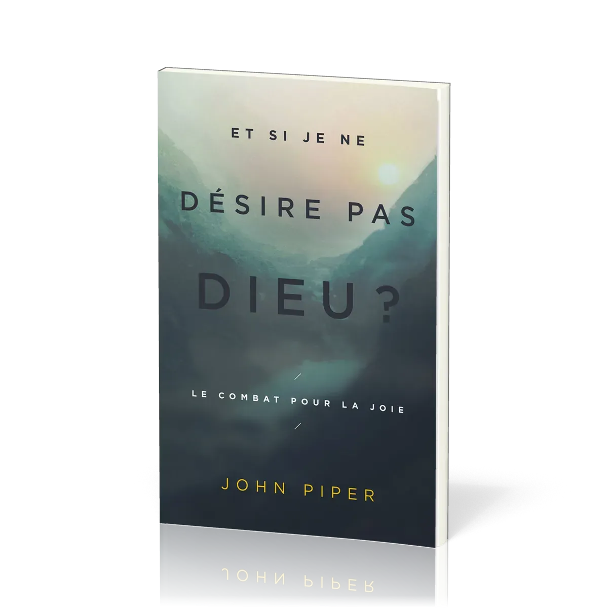 ET SI JE NE DESIRE PAS DIEU ? - LE COMBAT POUR LA JOIE