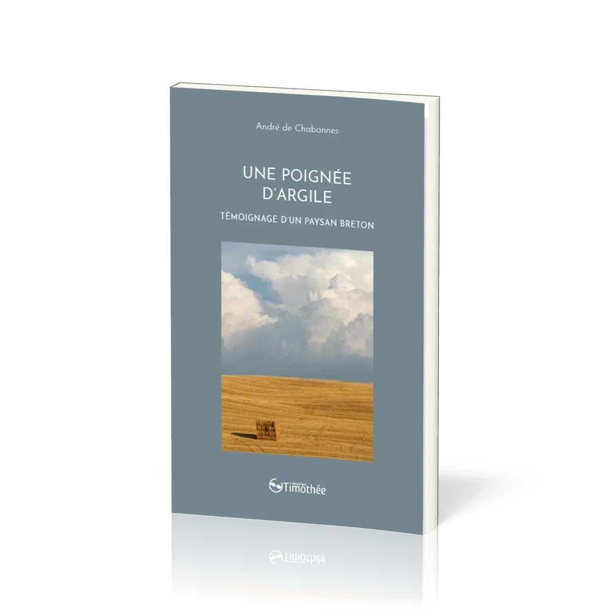 POIGNEE D'ARGILE (UNE)