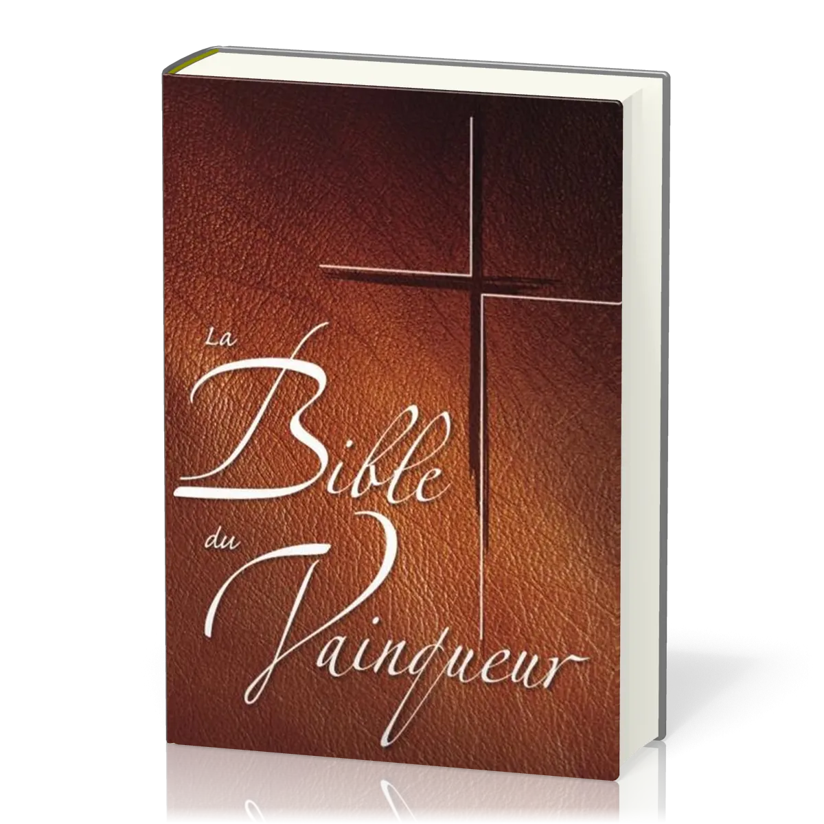 BIBLE DU VAINQUEUR (LA)