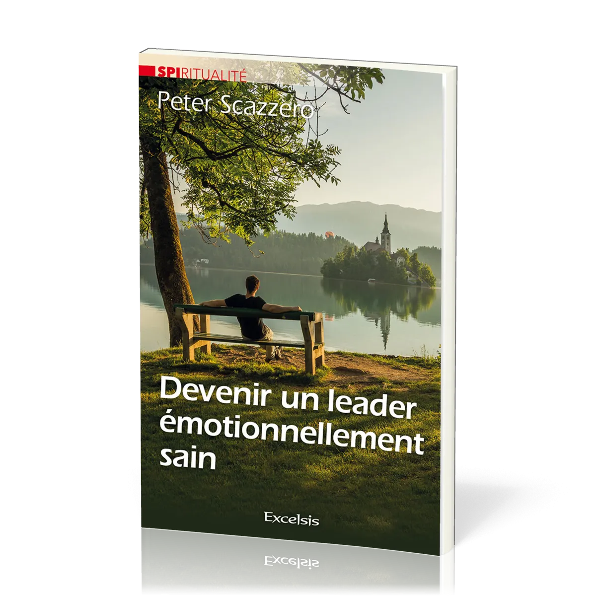 DEVENIR UN LEADER EMOTIONNELLEMENT SAIN